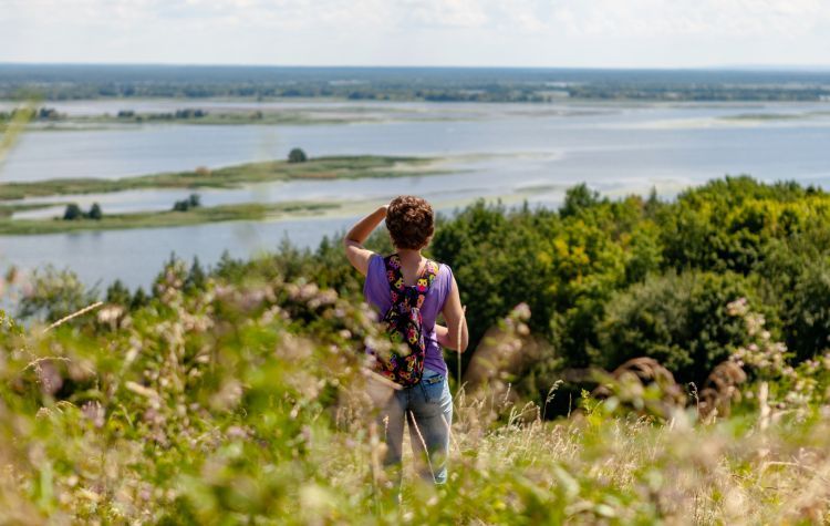 Дніпрові кручі Трипілля, Витачів, Ржищів