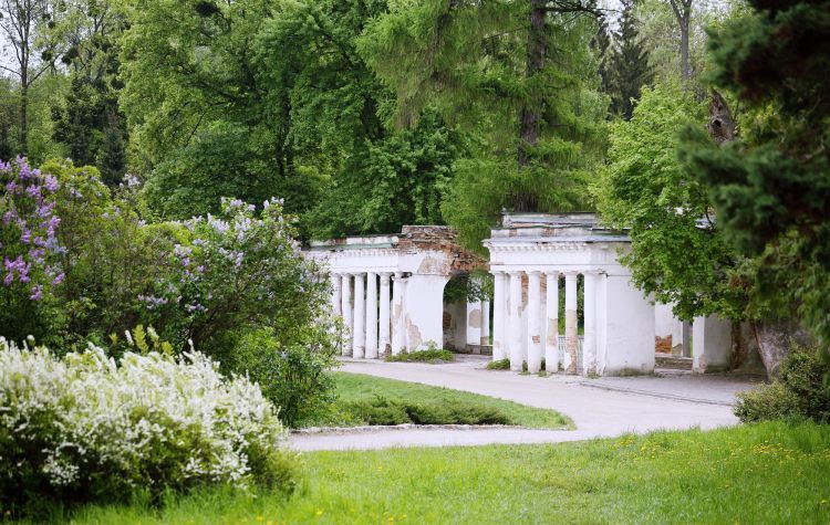 Біла Церква: місто, парк, концерт