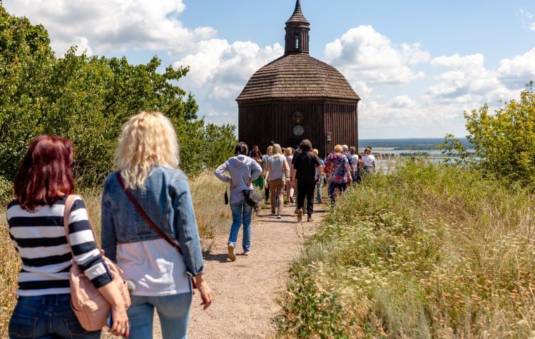 Дніпрові кручі Трипілля, Витачів, Ржищів